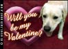will you be my valentine